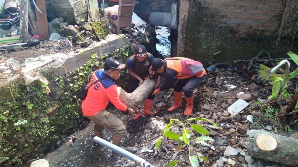 Penanganan Pohon Tumbang